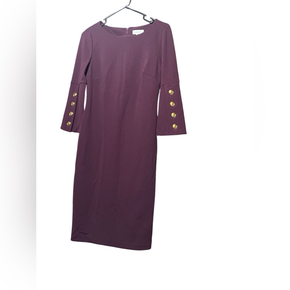 Calvin Klein Deep Wine Dress